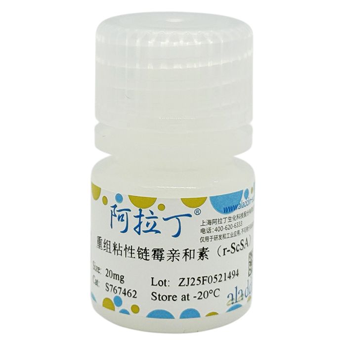 重组粘性链霉亲和素（r-ScSA）