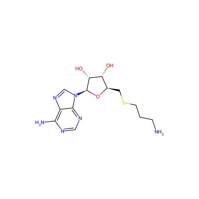 S-腺苷-3-硫丙胺