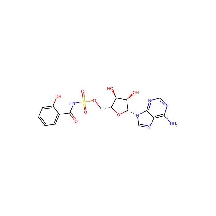 Salicyl-AMS