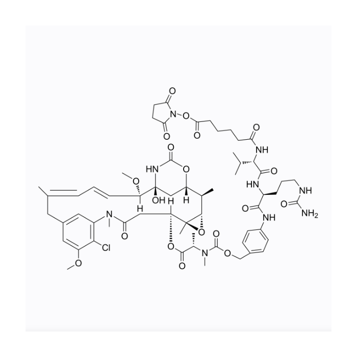 SC-VC-PAB-DM1