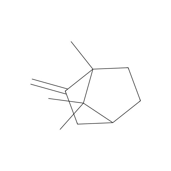 1,7,7-Trimethyl-2-methylidenebicyclo[2.2.1]heptane