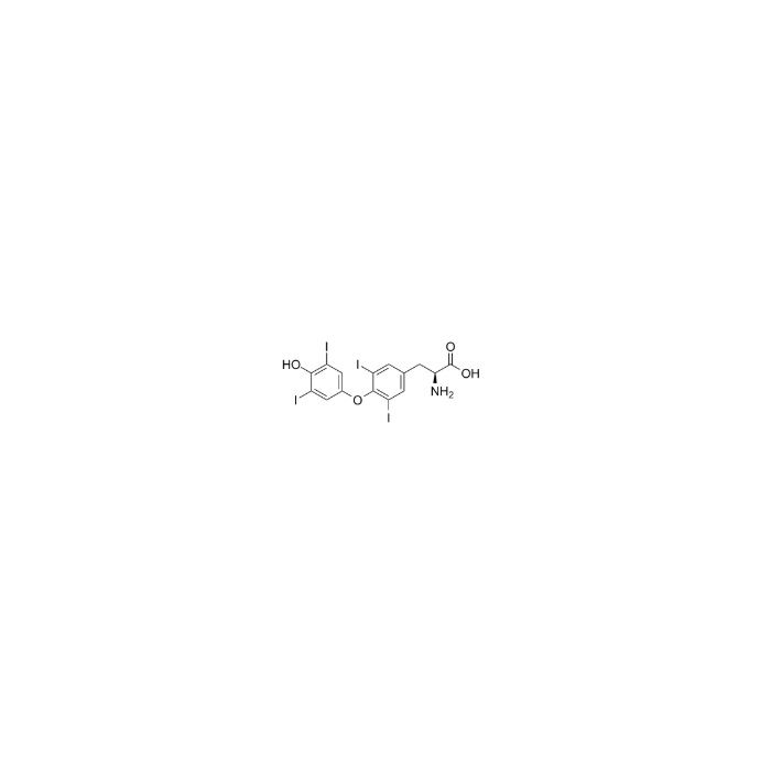 左旋甲状腺素 (T4), 甲状腺激素受体-α的激动剂;甲状腺激素受体-β的激动剂
