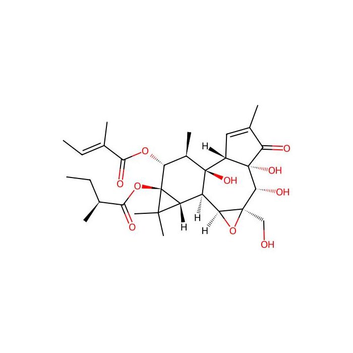 Tigilanol tiglate