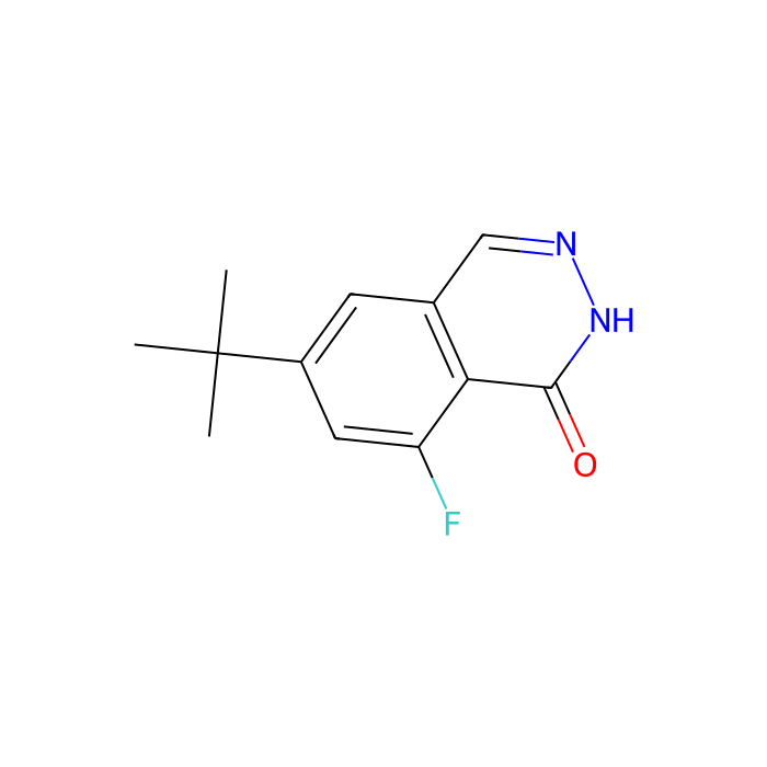 6-(叔丁基)-8-氟-2,3-二氮杂萘-1(2H)酮