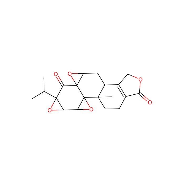 Triptonide