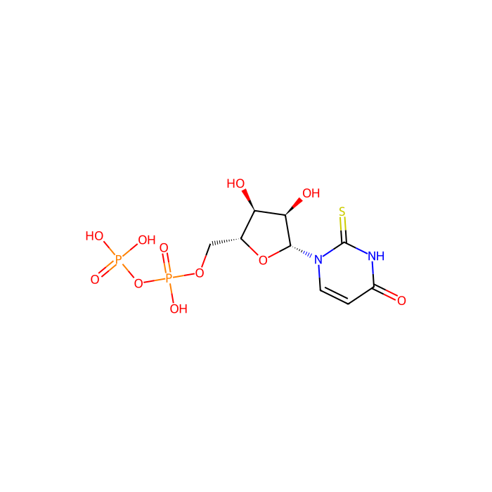 2-thio-UDP, P2Y 14 受体激动剂