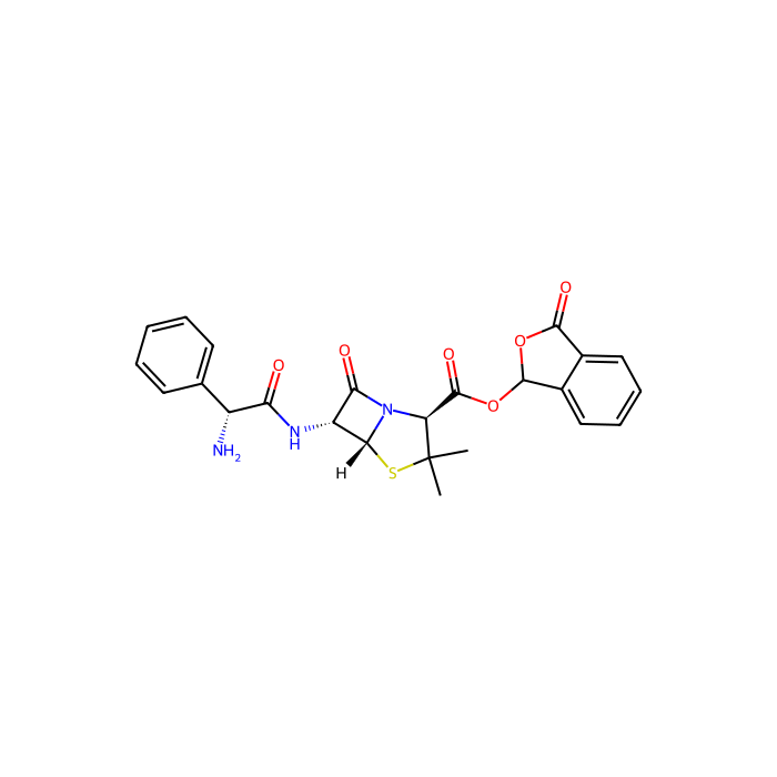 talampicillin, 细菌青霉素结合蛋白抑制剂