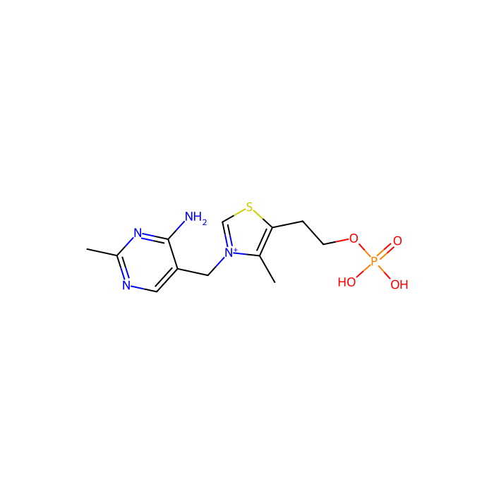 thiamine monophosphate
