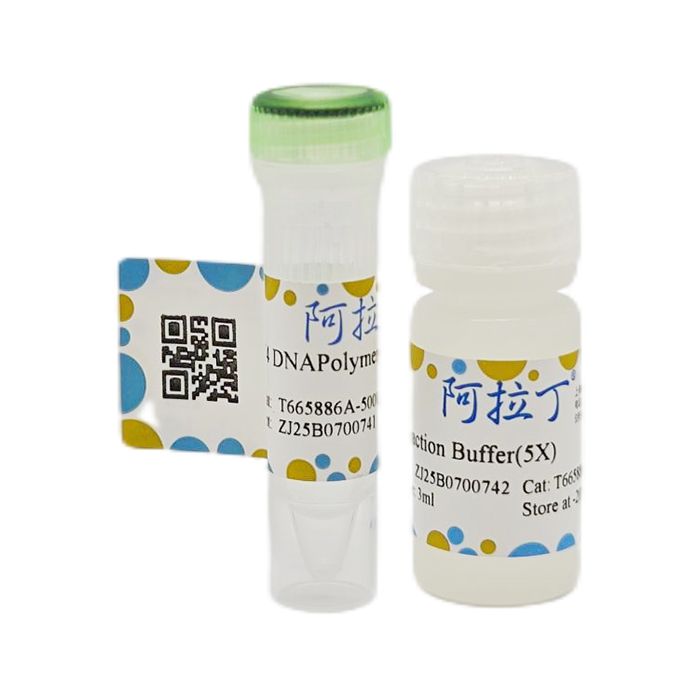 T4 DNA 聚合酶
