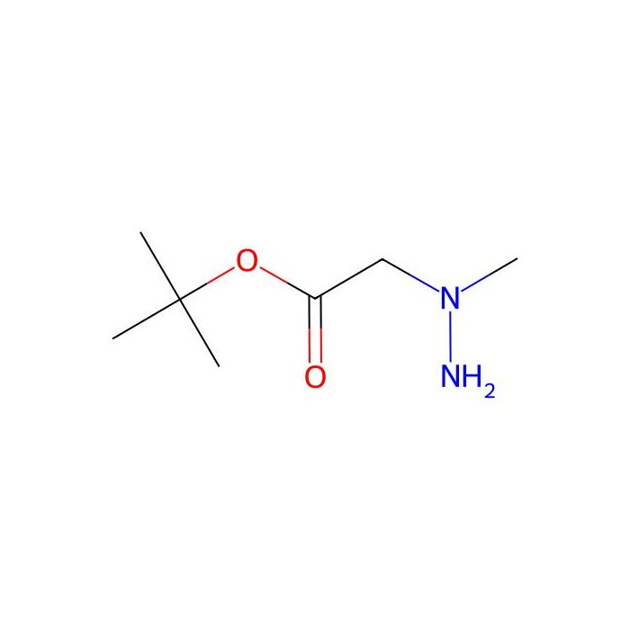 2-(1-甲基肼基)乙酸叔丁酯