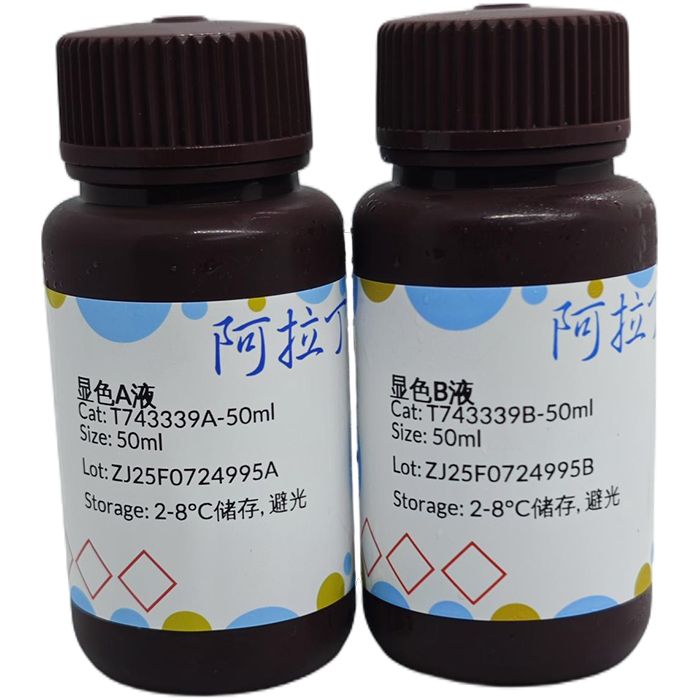 TMB显色液(组化或膜HRP显色用)