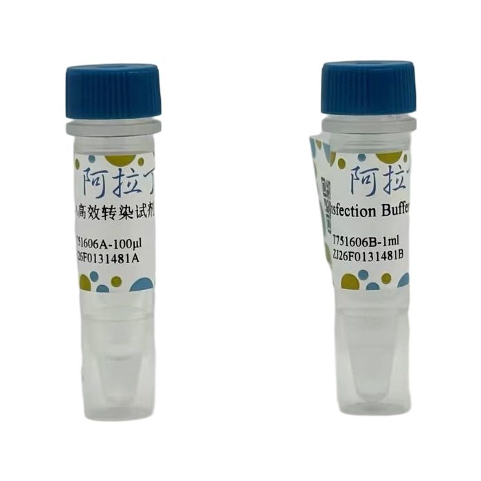 siRNA高效转染试剂 