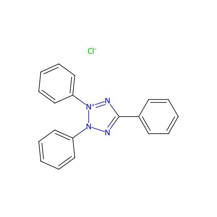TTC染色液 (1%)