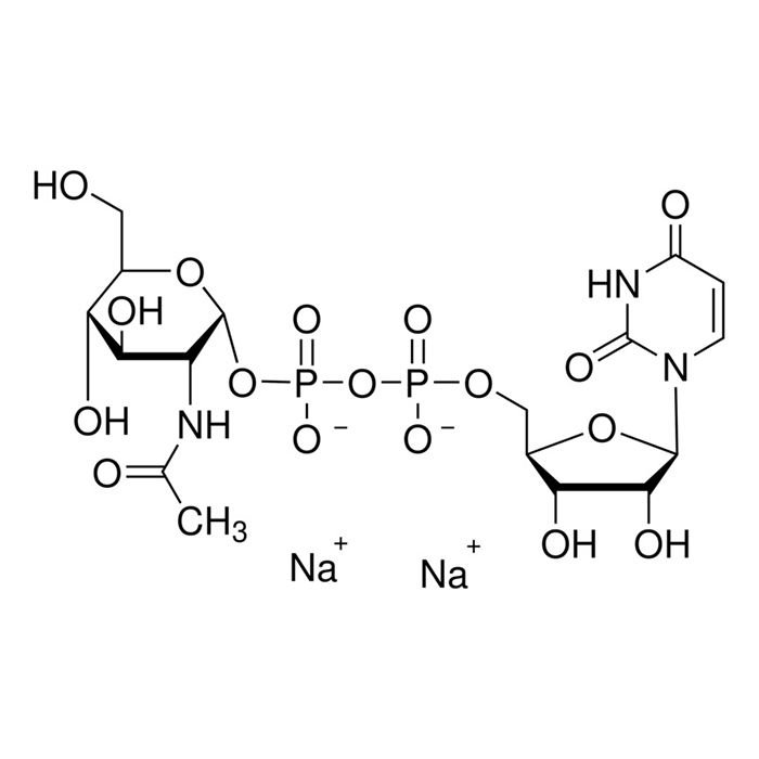 尿苷-5′-二磷酸-N-乙酰基-葡糖胺钠盐
