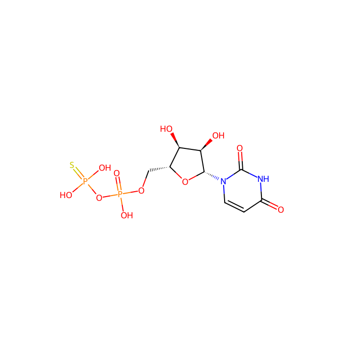 UDP-β-S, P2Y 6 受体激动剂