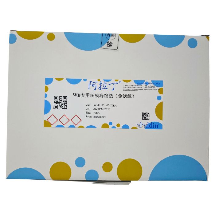 WB专用转膜海绵垫（免滤纸）