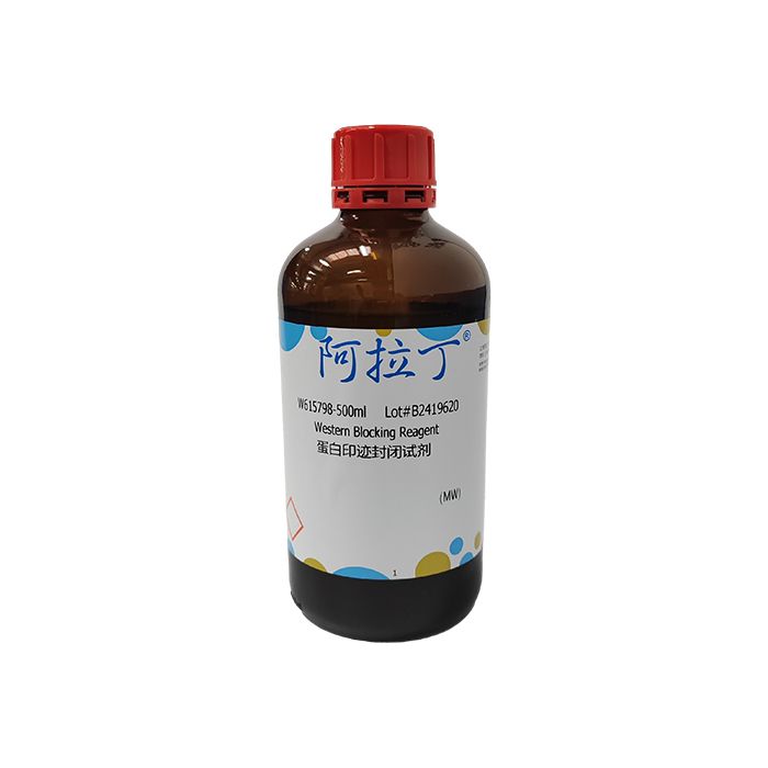 蛋白印迹封闭试剂
