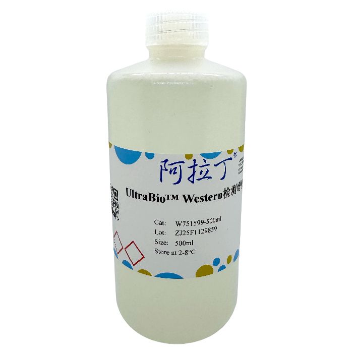 UltraBio™ Western检测增敏剂