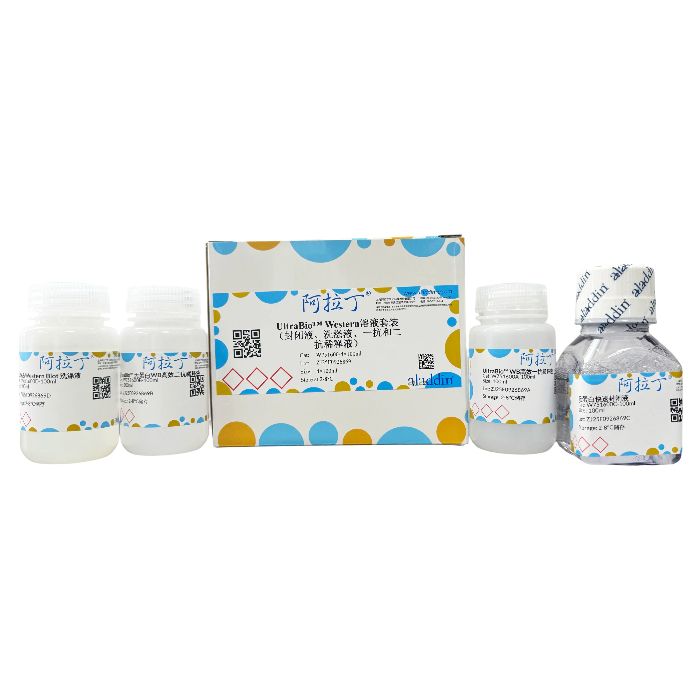 UltraBio™ Western溶液套装（封闭液、洗涤液、一抗和二抗稀释液）
