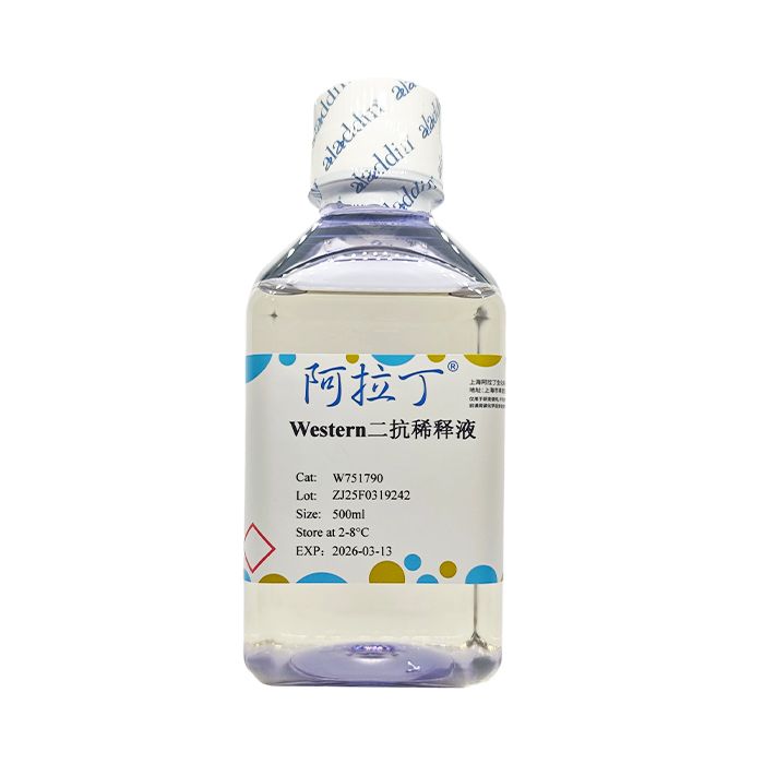 Western二抗稀释液