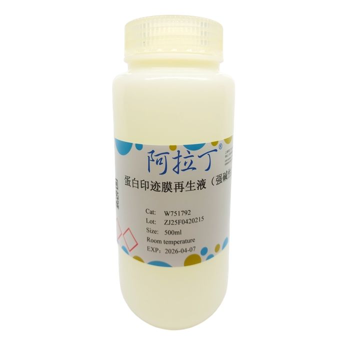 蛋白印迹膜再生液（强碱性）