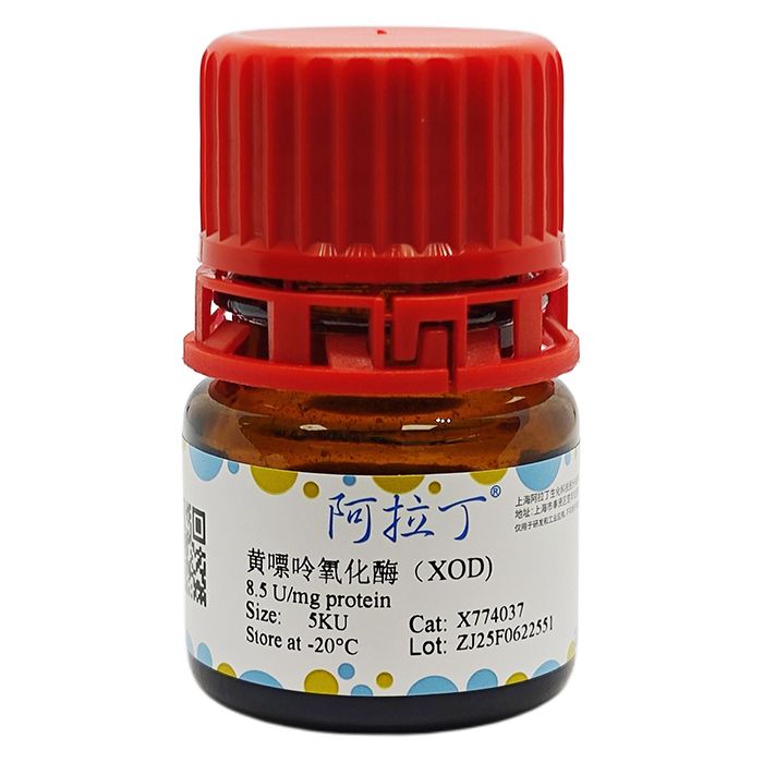 重组黄嘌呤氧化酶（XOD)