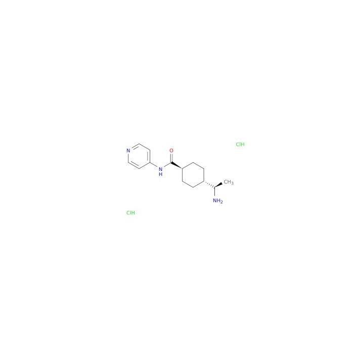 Y-27632 2HCl