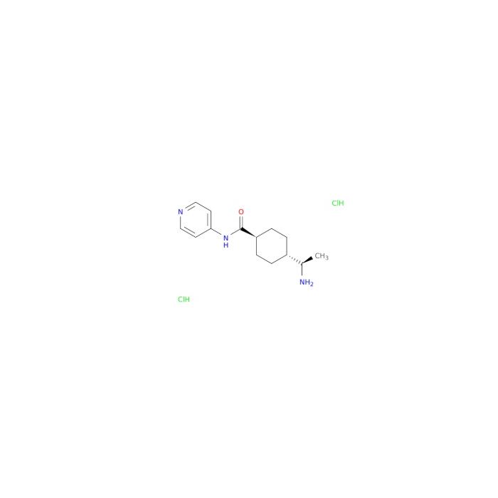 Y-27632 2HCl