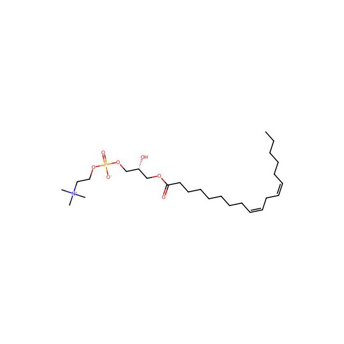 1-(9Z,12Z-octadecadienoyl)-sn-glycero-3-phosphocholine