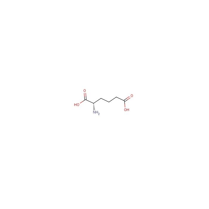 L-α-氨基己二酸