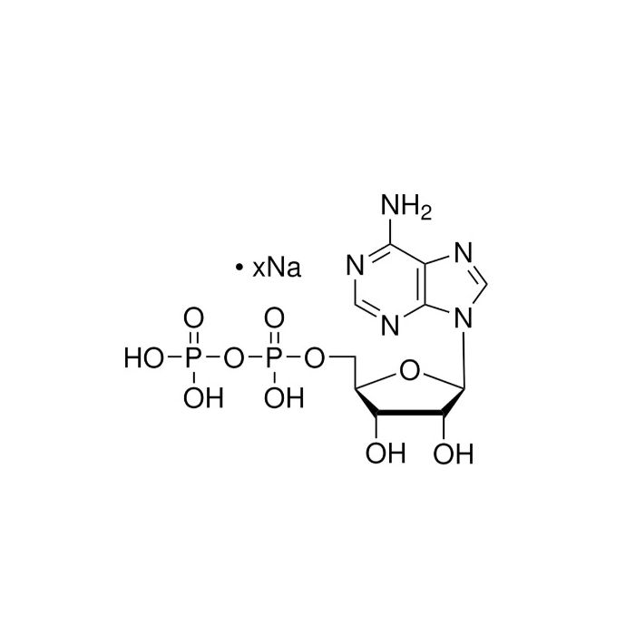 腺苷-5′-二磷酸 钠盐