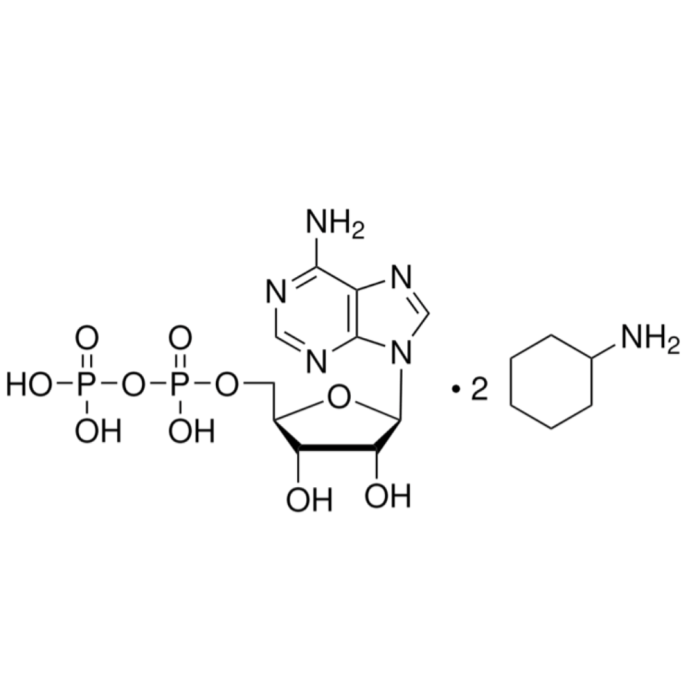 腺苷-5′-二磷酸 双环己铵盐