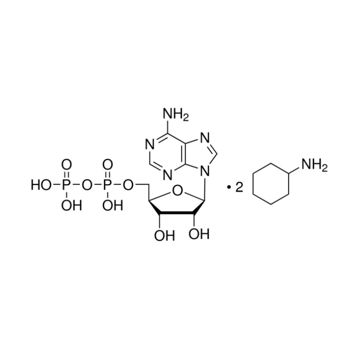 腺苷-5′-二磷酸 环己铵盐
