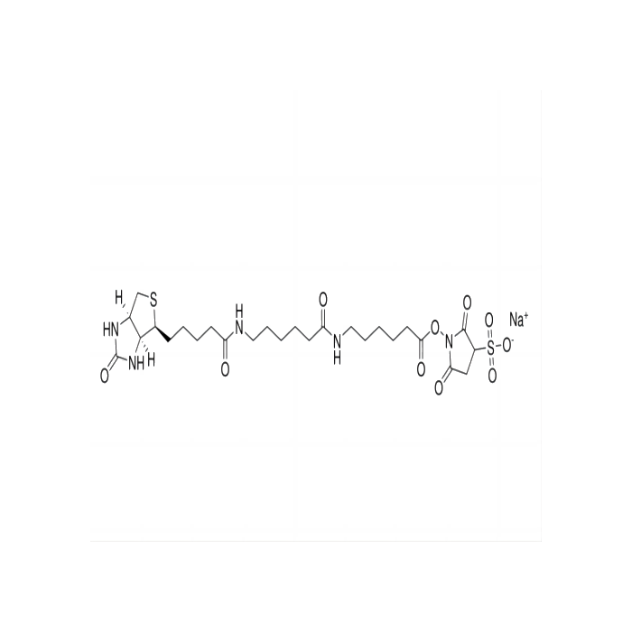 Aladdin™ Sulfo NHS-LC-LC-Biotin