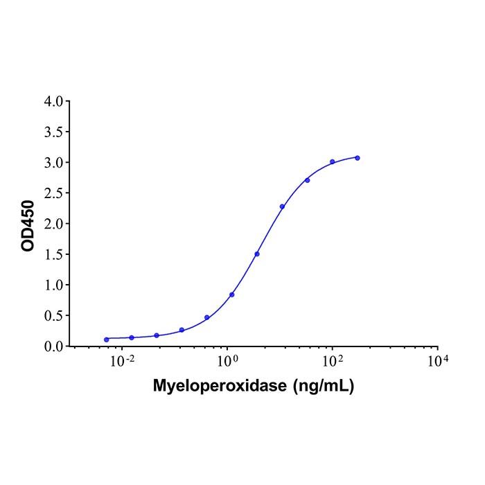 Myeloperoxidase Mouse mAb