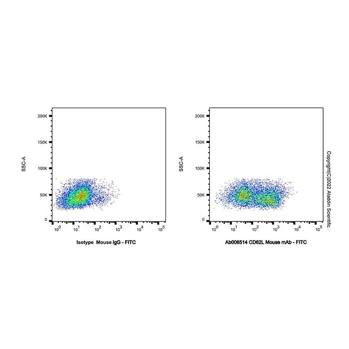 CD62L Mouse mAb