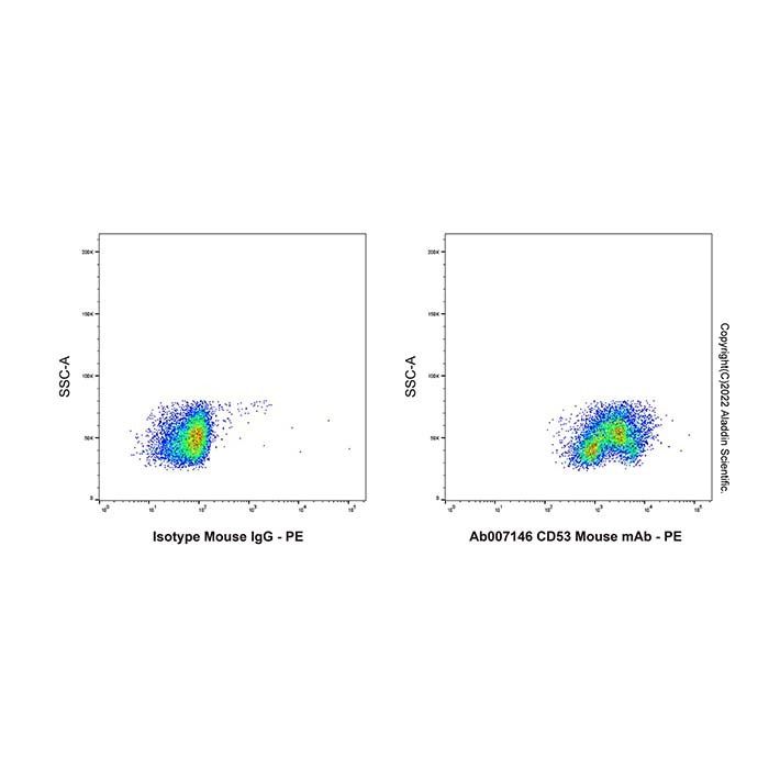 CD53 Mouse mAb