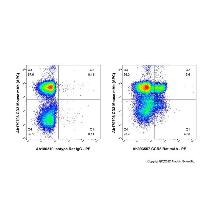 CCR5 Rat mAb