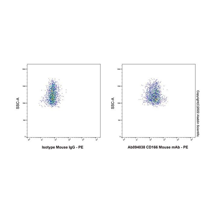 CD166 Mouse mAb