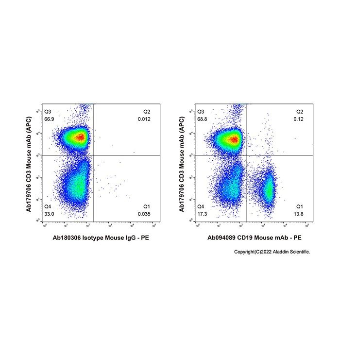 CD19 Mouse mAb
