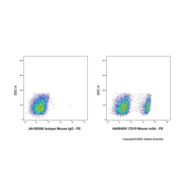 CD19 Mouse mAb