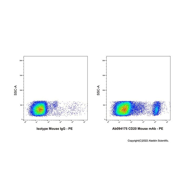 CD20 Mouse mAb