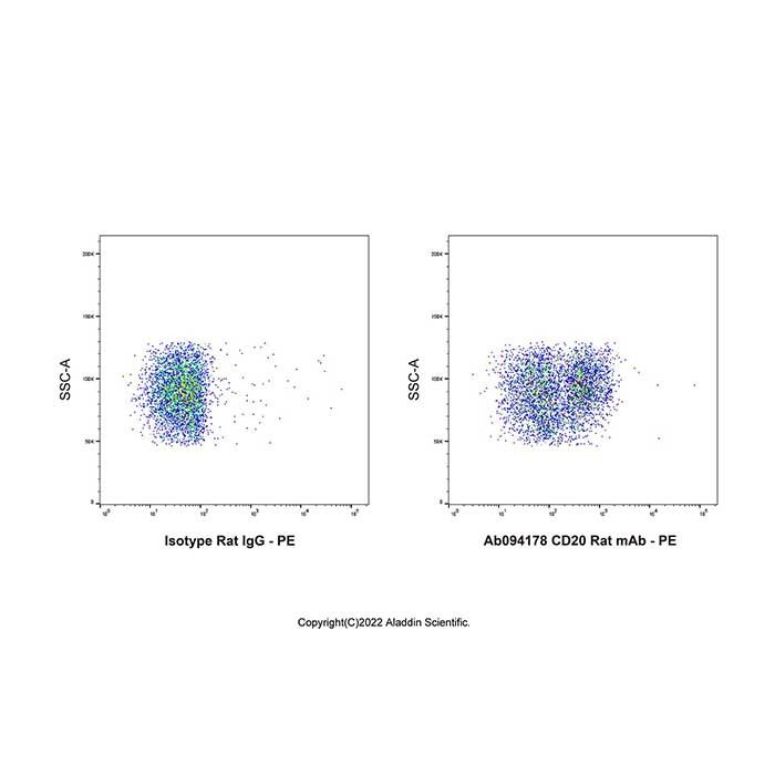 CD20 Rat mAb