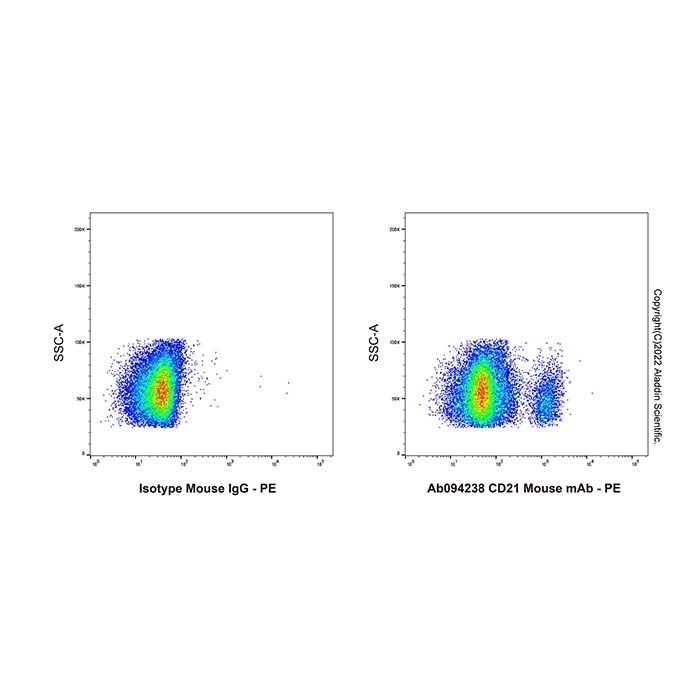 CD21 Mouse mAb