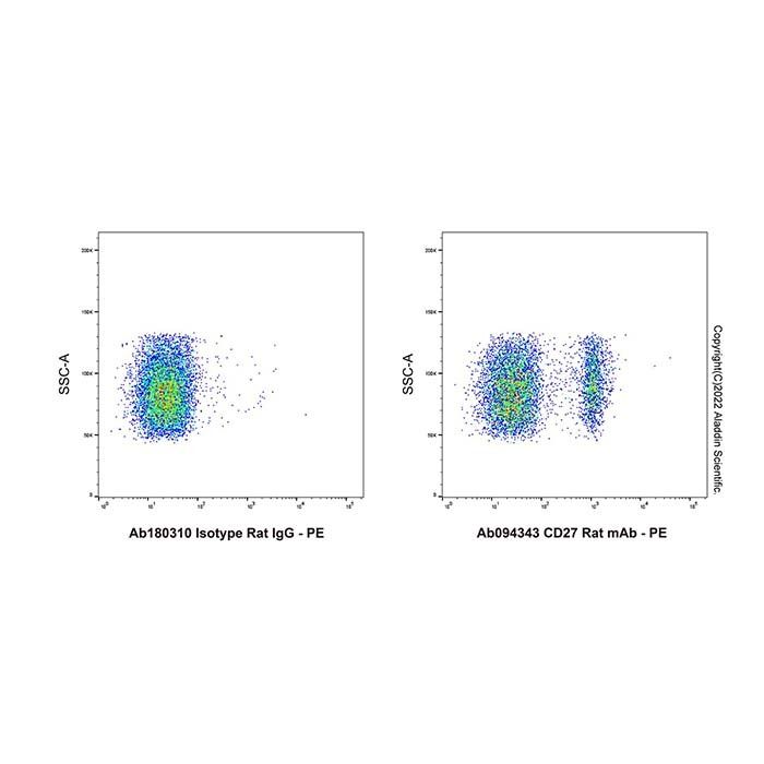 CD27 Rat mAb