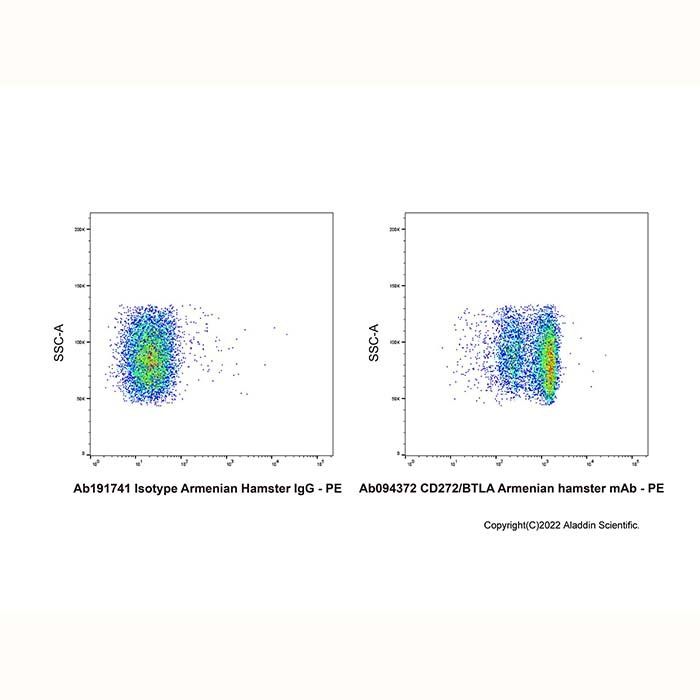 CD272/BTLA Armenian hamster mAb