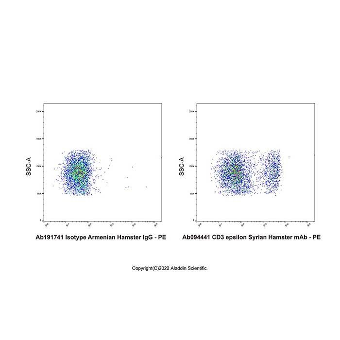 CD3 epsilon Syrian Hamster mAb