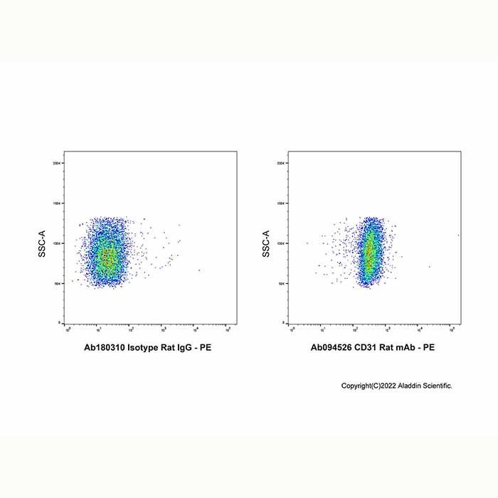 CD31 Rat mAb