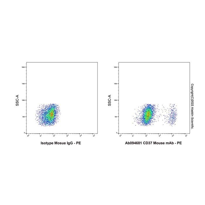 CD37 Mouse mAb