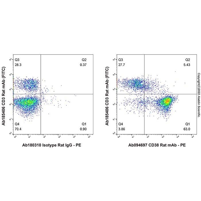CD38 Rat mAb
